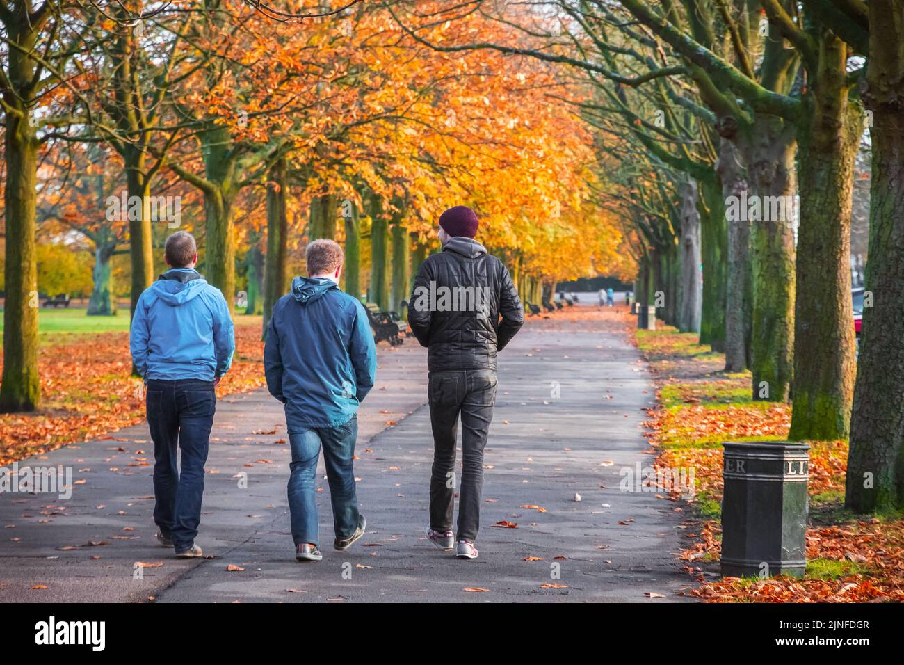 London, UK - November 3, 2021 - Back view of three men walking on a treelined path in Greenwich park during autumn season Stock Photo