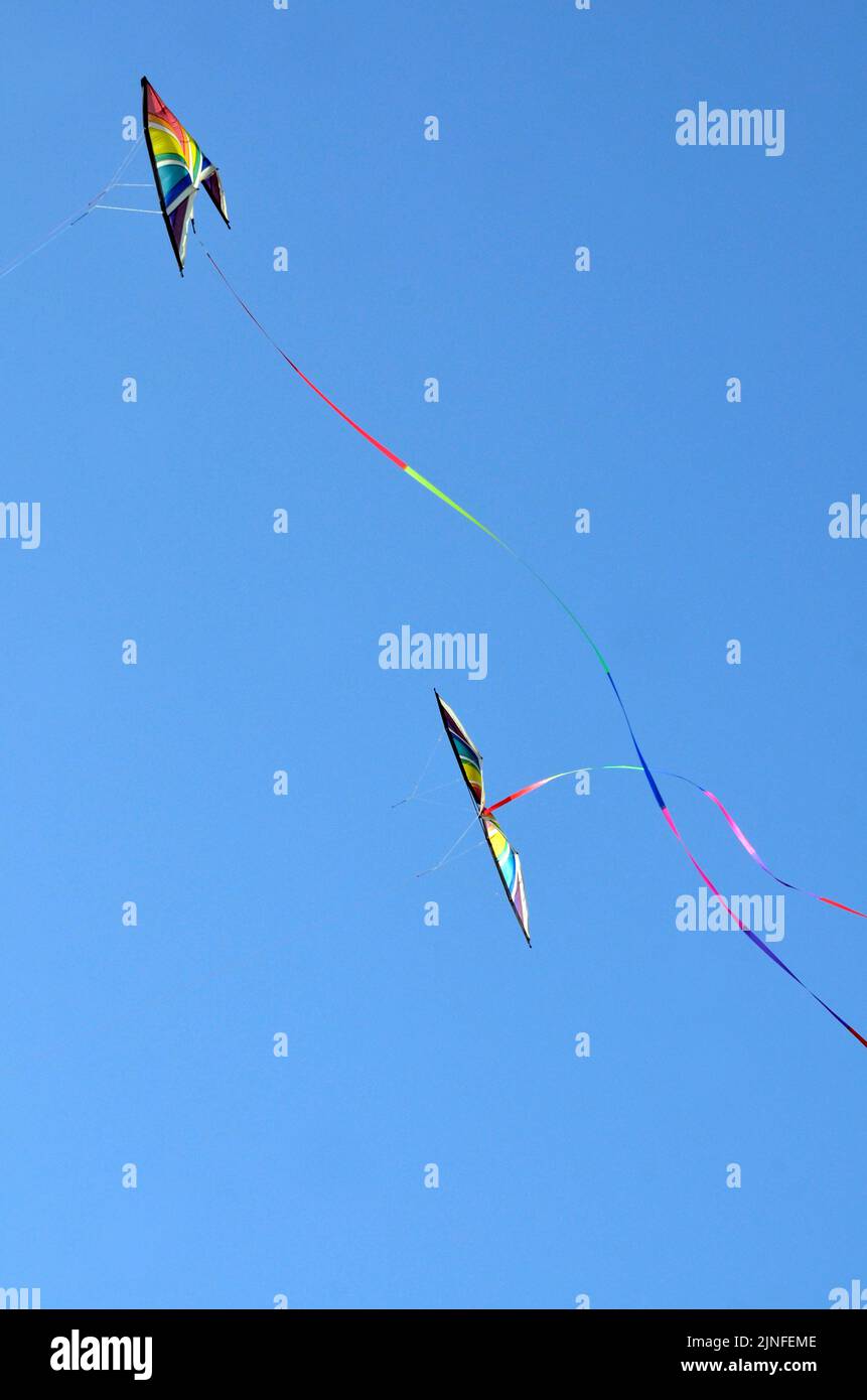 Dancing kites hires stock photography and images Alamy