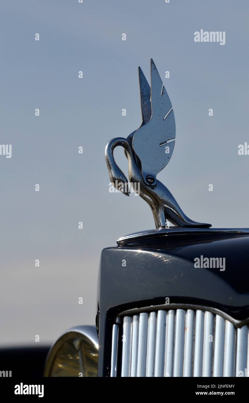 mascot on bonnet of vintage american packard super eight car Stock Photo