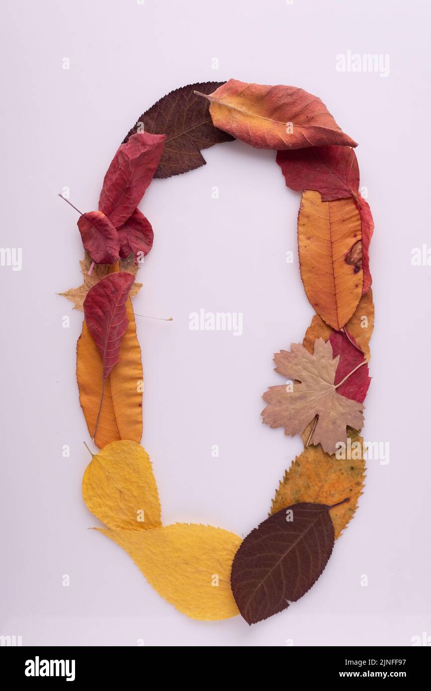 number 0 autumn leaves isolate on white background. Stock Photo