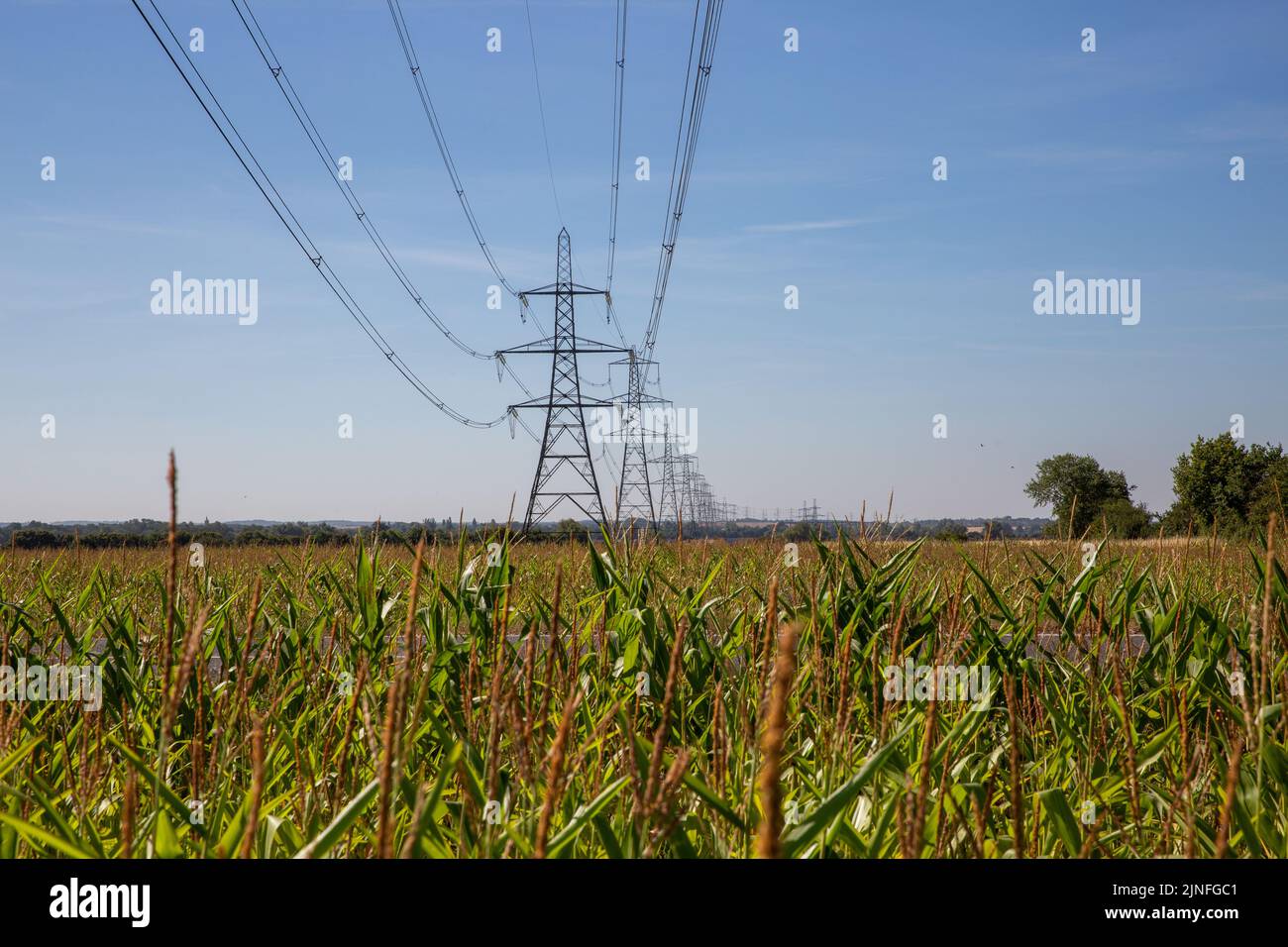 Generic picture dated August 10th shows electricity pylons in Cambridgeshire as the power crisis goes on with almost a quarter of households already owing £206 with further price increases in the autumn. Stock Photo