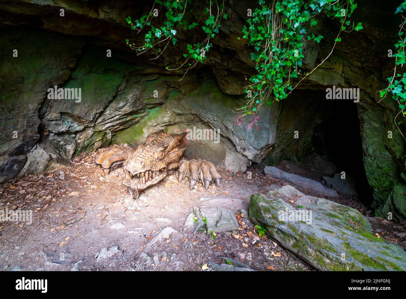Sculpture of dragon head in the dark cave Stock Photo - Alamy