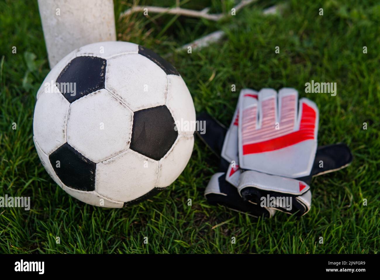Soccer ball and goalkeeper gloves on football field Stock Photo Alamy