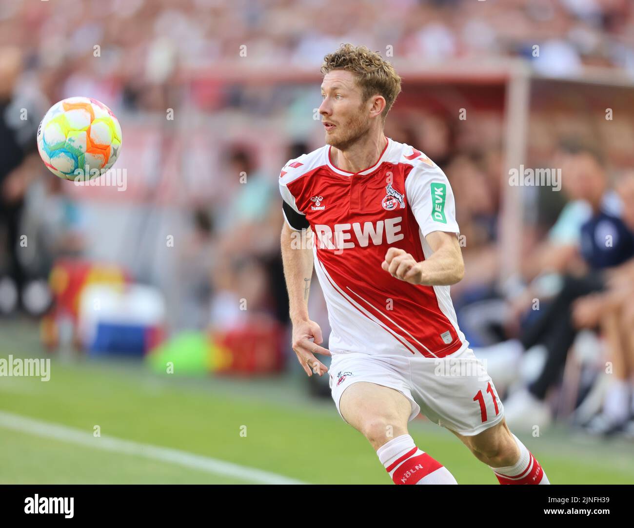 Florian kainz 1 fc koeln hi-res stock photography and images - Page 2 -  Alamy