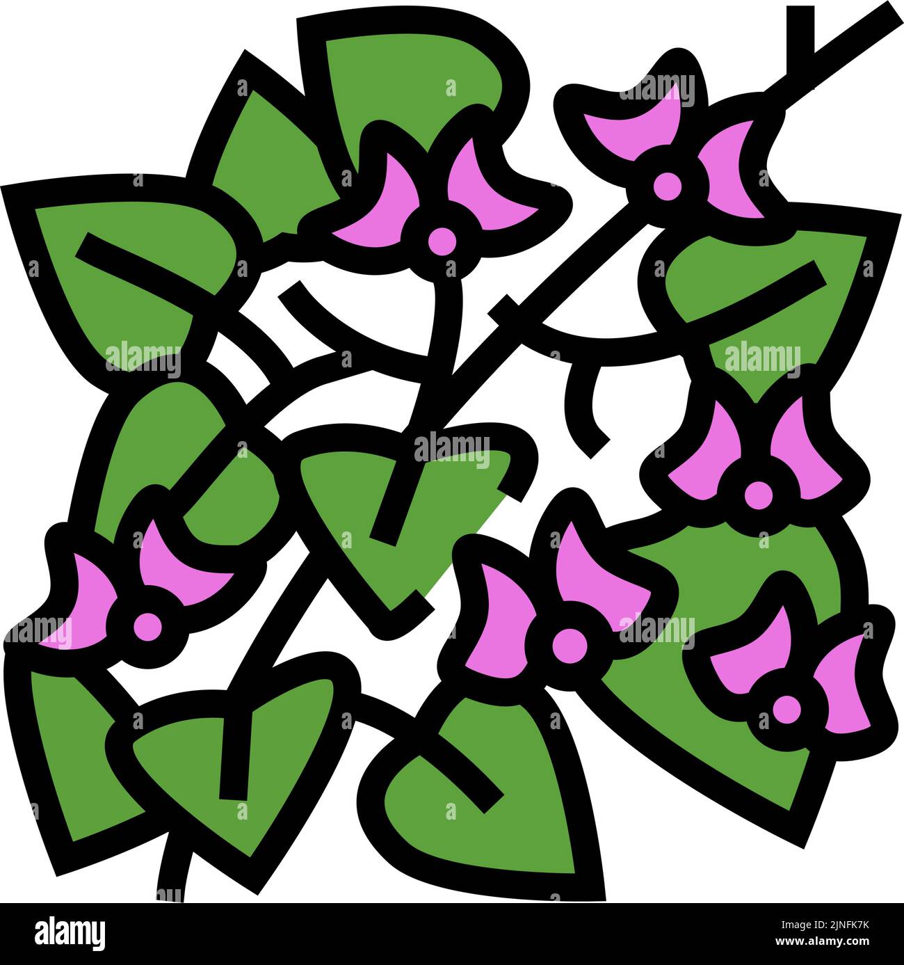 hyacinth bean color icon vector illustration Stock Vector Image &amp; Art ...
