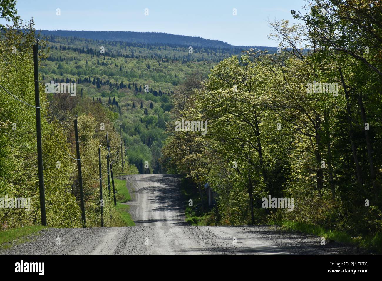 Sainte apolline hires stock photography and images Alamy