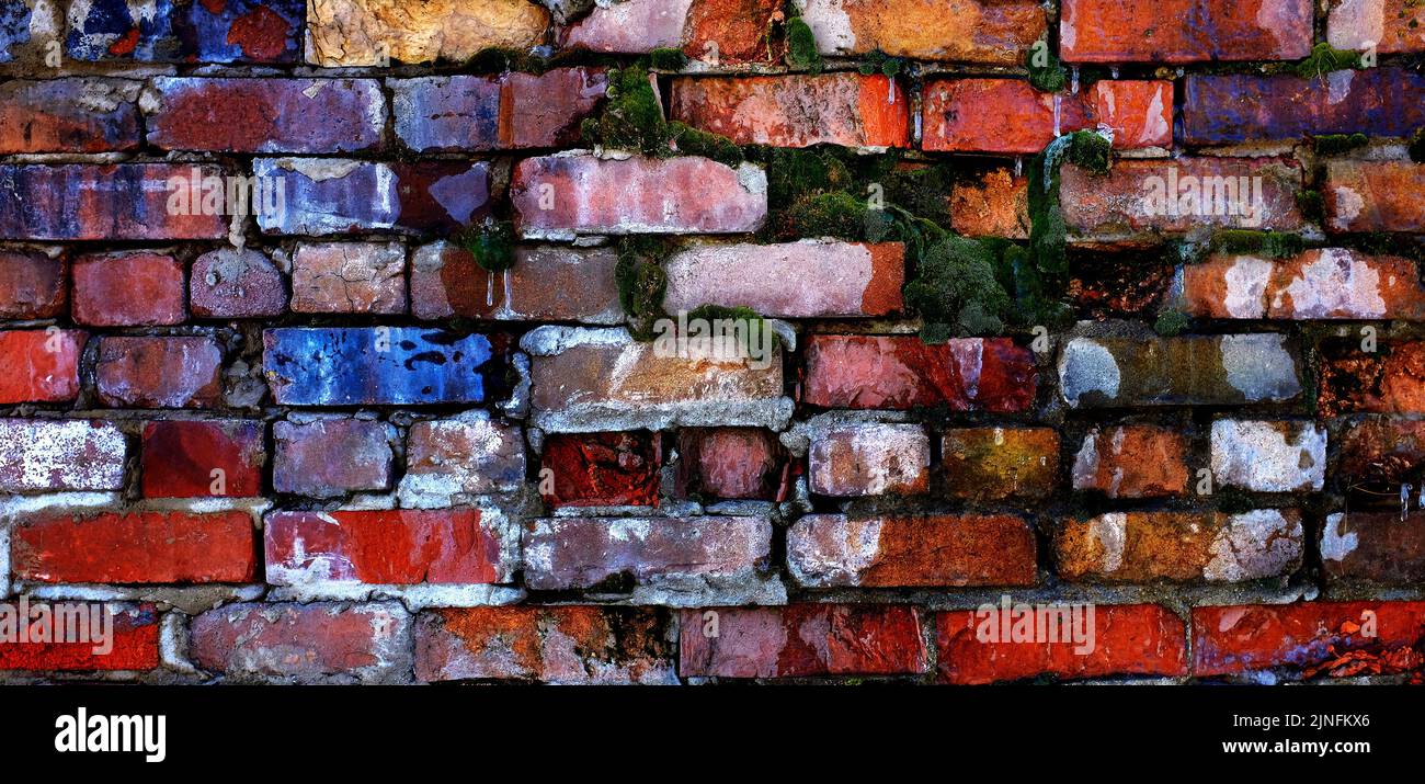 Colorful old bricks on wall that is falling apart texture textured moss growing in cracks chipped mortar Stock Photo