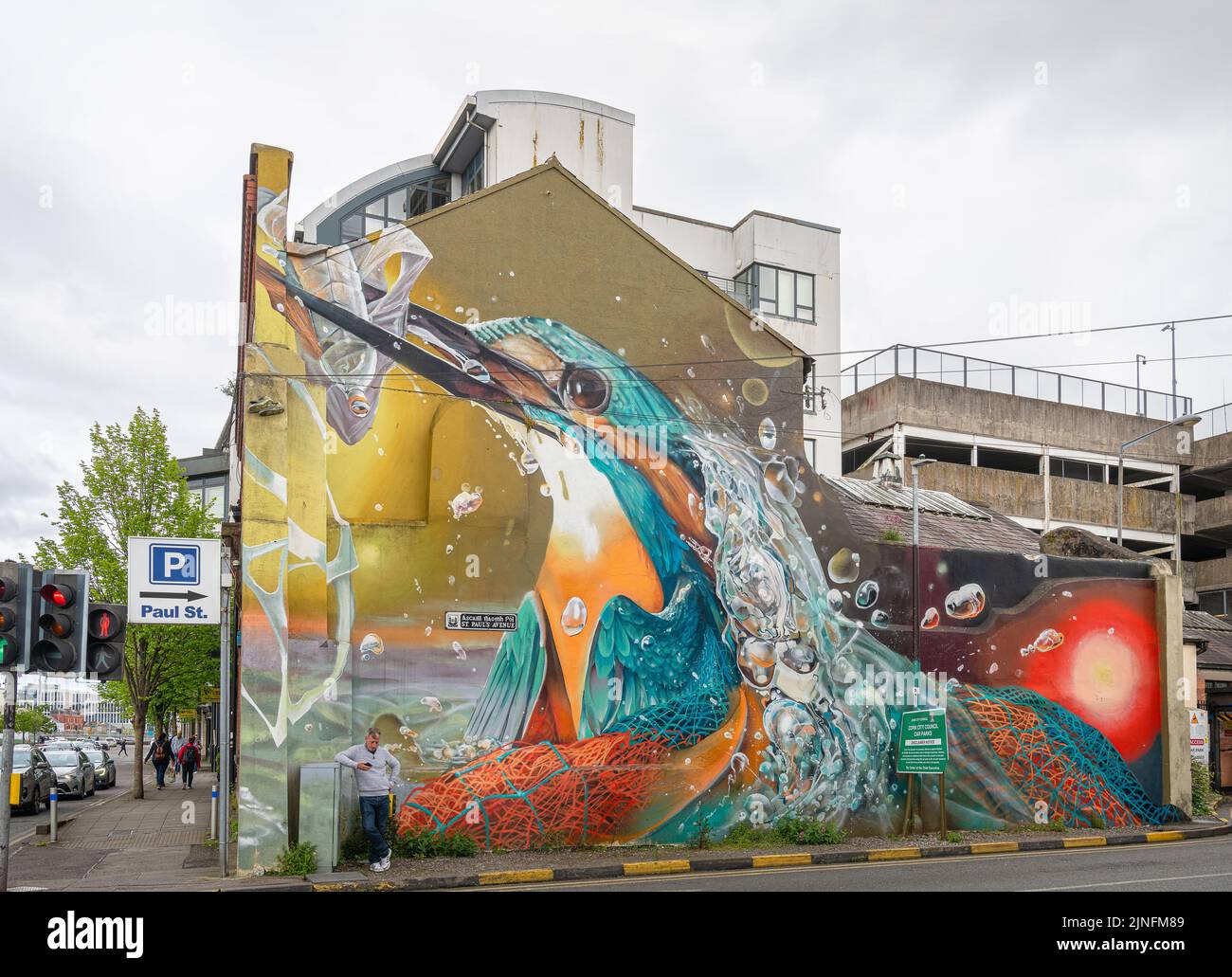 Kingfisher Mural at the junction of St Paul’s Avenue and Lavitt’s Quay, Cork, Ireland Stock Photo