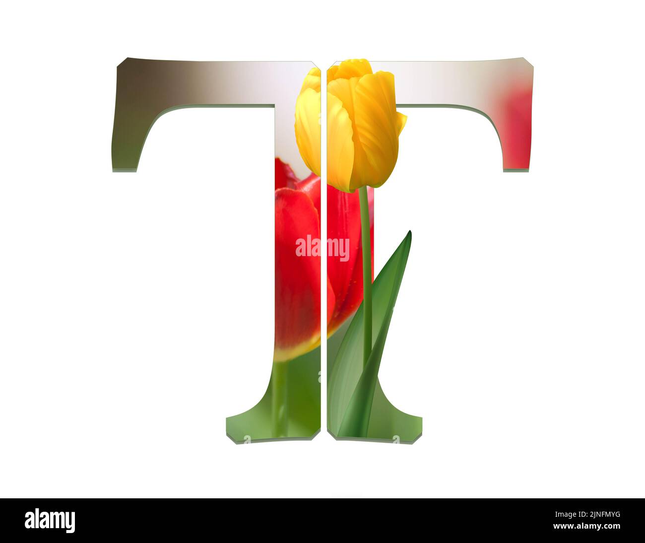 Flower font Alphabet. letter, made of Real alive flowers with Precious