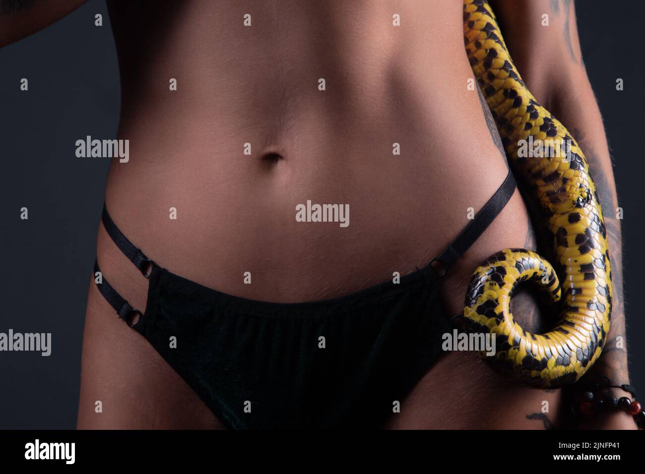 Photo of the woman in black panties with snake anaconda in shadows Stock Photo