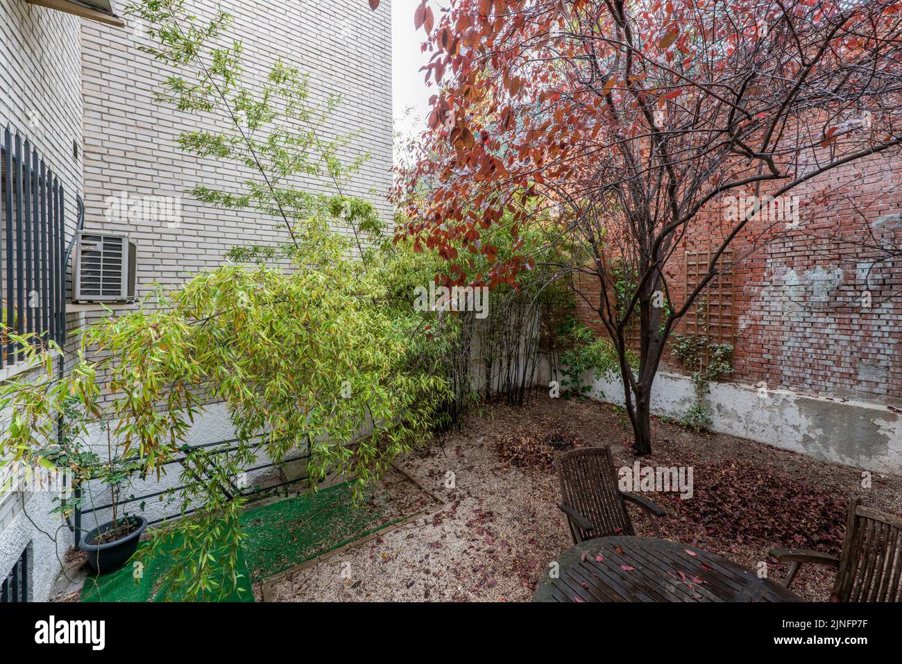 A patio with trees full of fallen leaves and a wooden table with