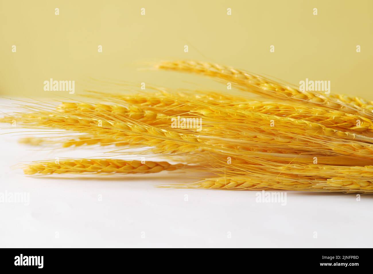 detail shot of wheat spikelets on table  Stock Photo