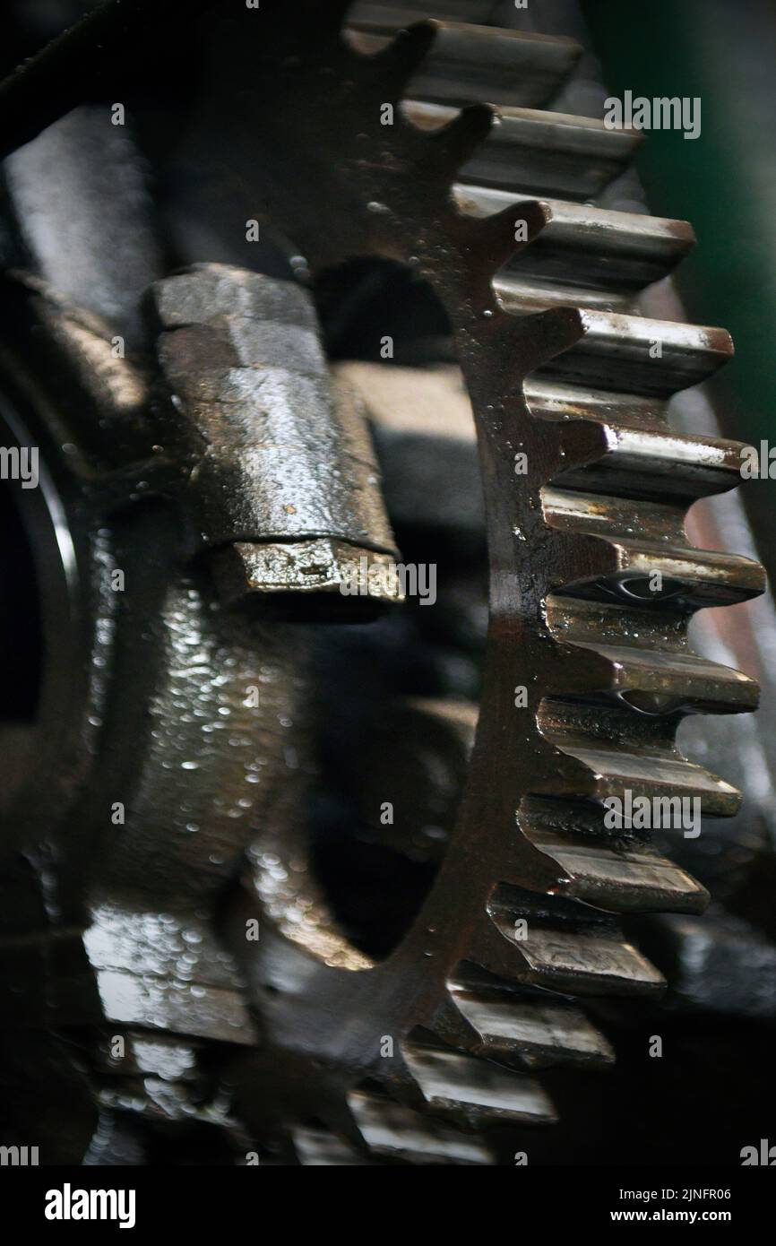 oily greasy cog and bearing in vintage farm machine Stock Photo