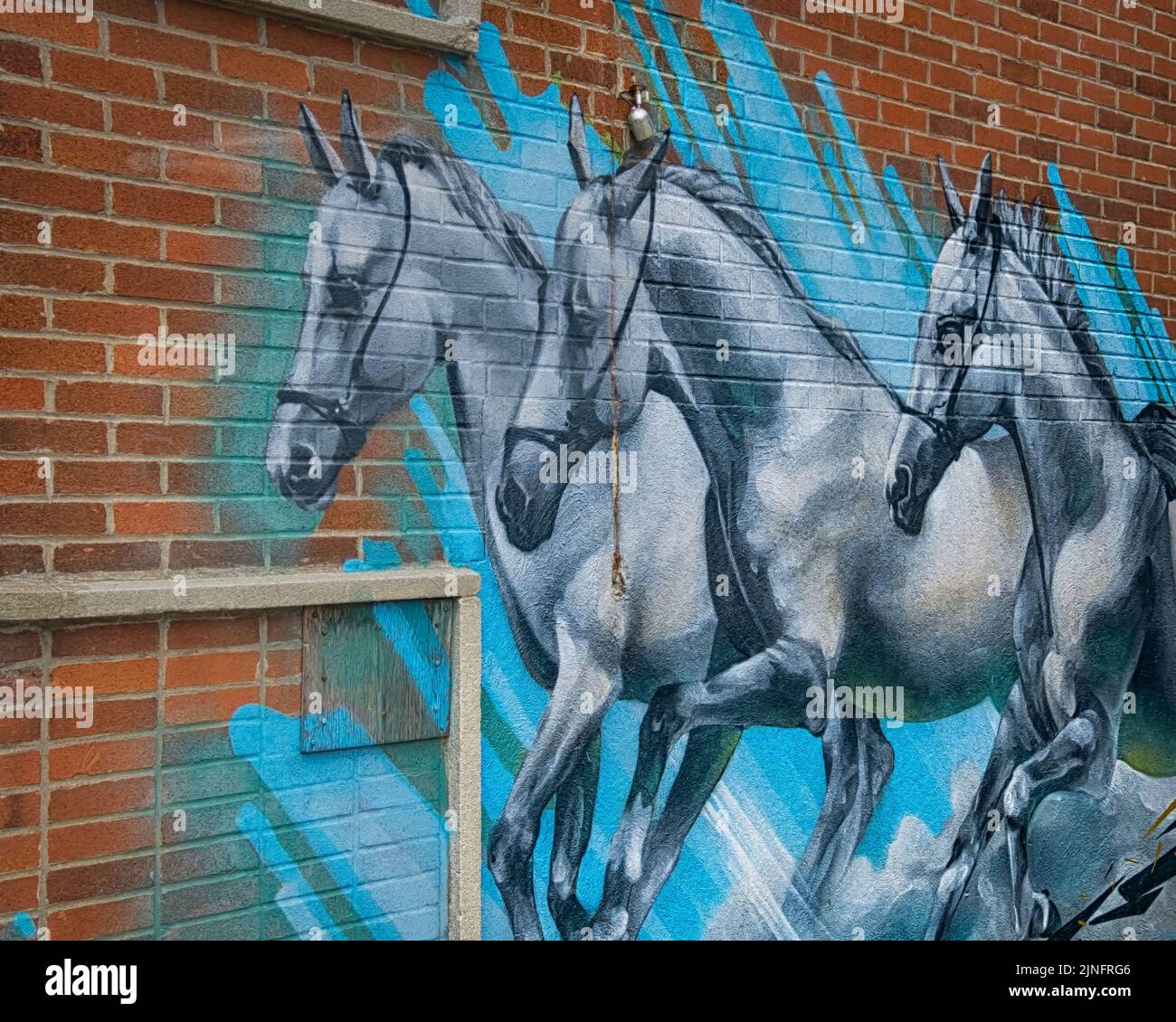 Horses on wall - mural Stock Photo