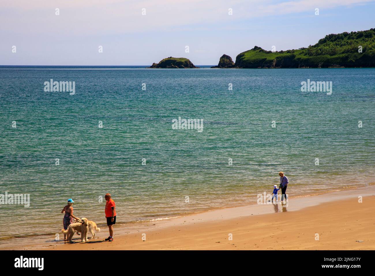 A dog walker on a sheltered beach at Saundersfoot, Pembrokeshire, Wales, UK Stock Photo