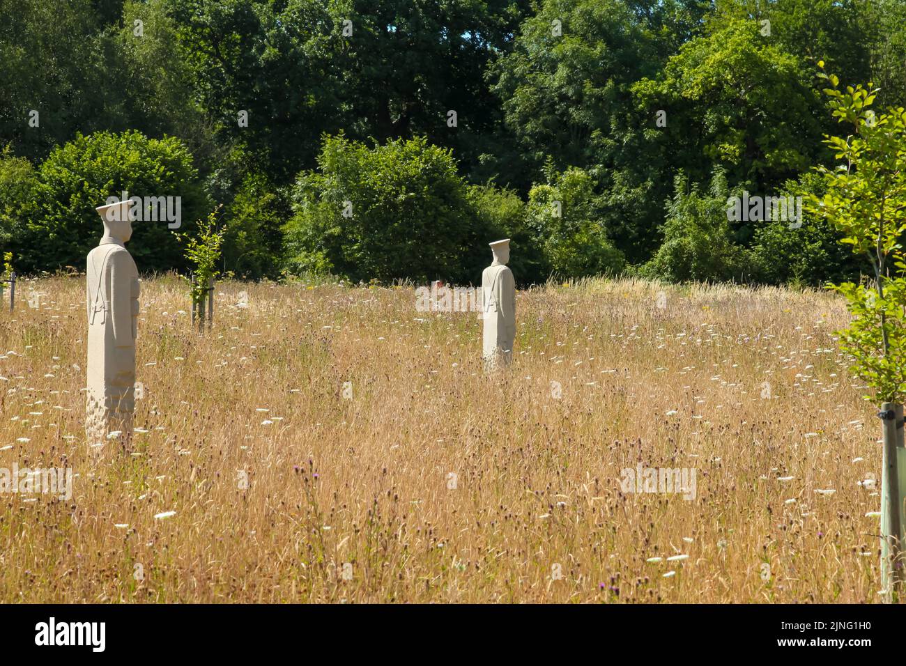 Regiment of Trees, stone soldiers carved by Patrick Walls stand in a grid, Langley Vale