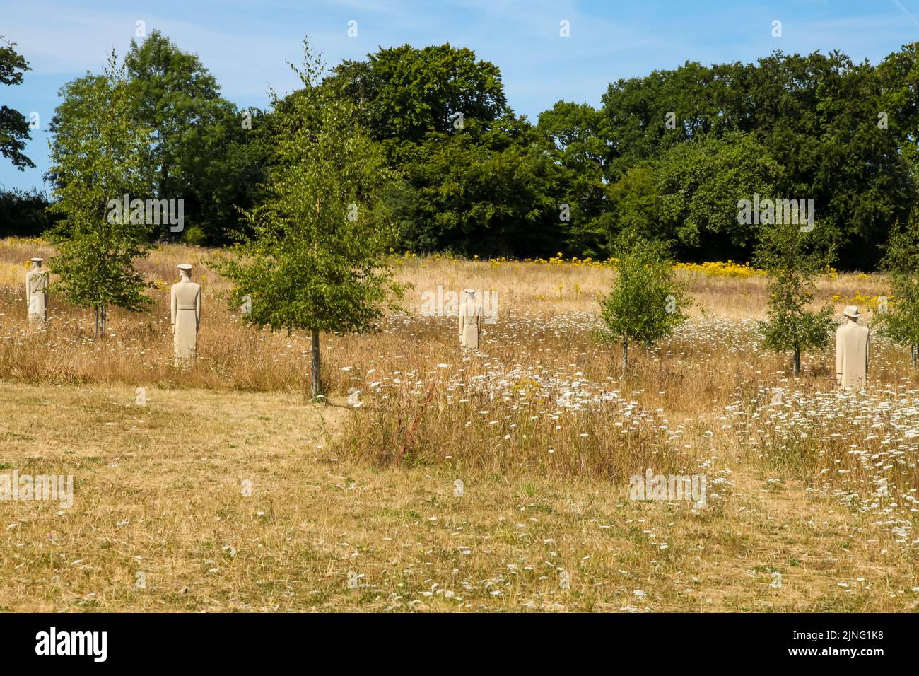 Regiment of Trees, stone soldiers carved by Patrick Walls stand in a grid, Langley Vale