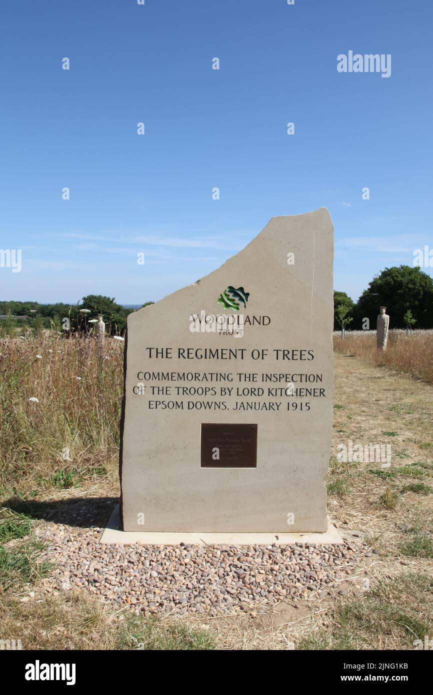 Regiment of Trees entrance, carved by Patrick Walls stand in a grid, Langley Vale Centenary Wood, Epsom, Surrey, England, UK, July 2022 Stock Photo