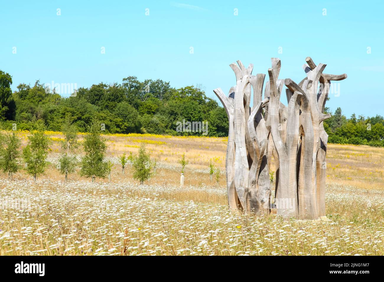 'Witness' tree sculpture by John Merrill, ww1 memorial statue, Langley Vale Centenary Wood
