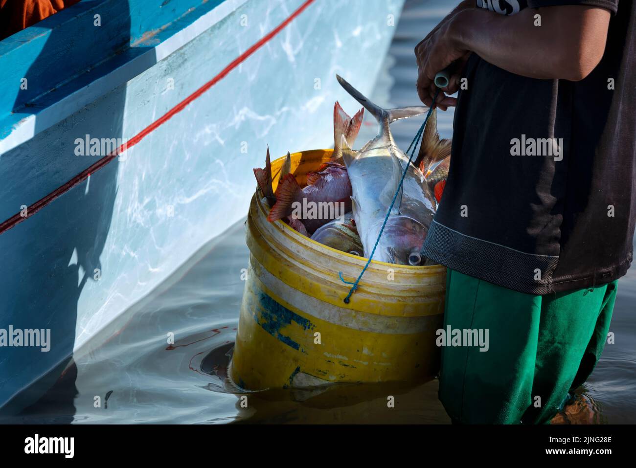 Fisherman carrying bucket of fresh fish Stock Photo Alamy