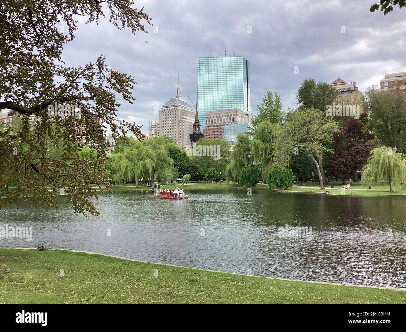 Swan Boats on the Boston Public Garden, Boston, Massachusetts Stock Photo