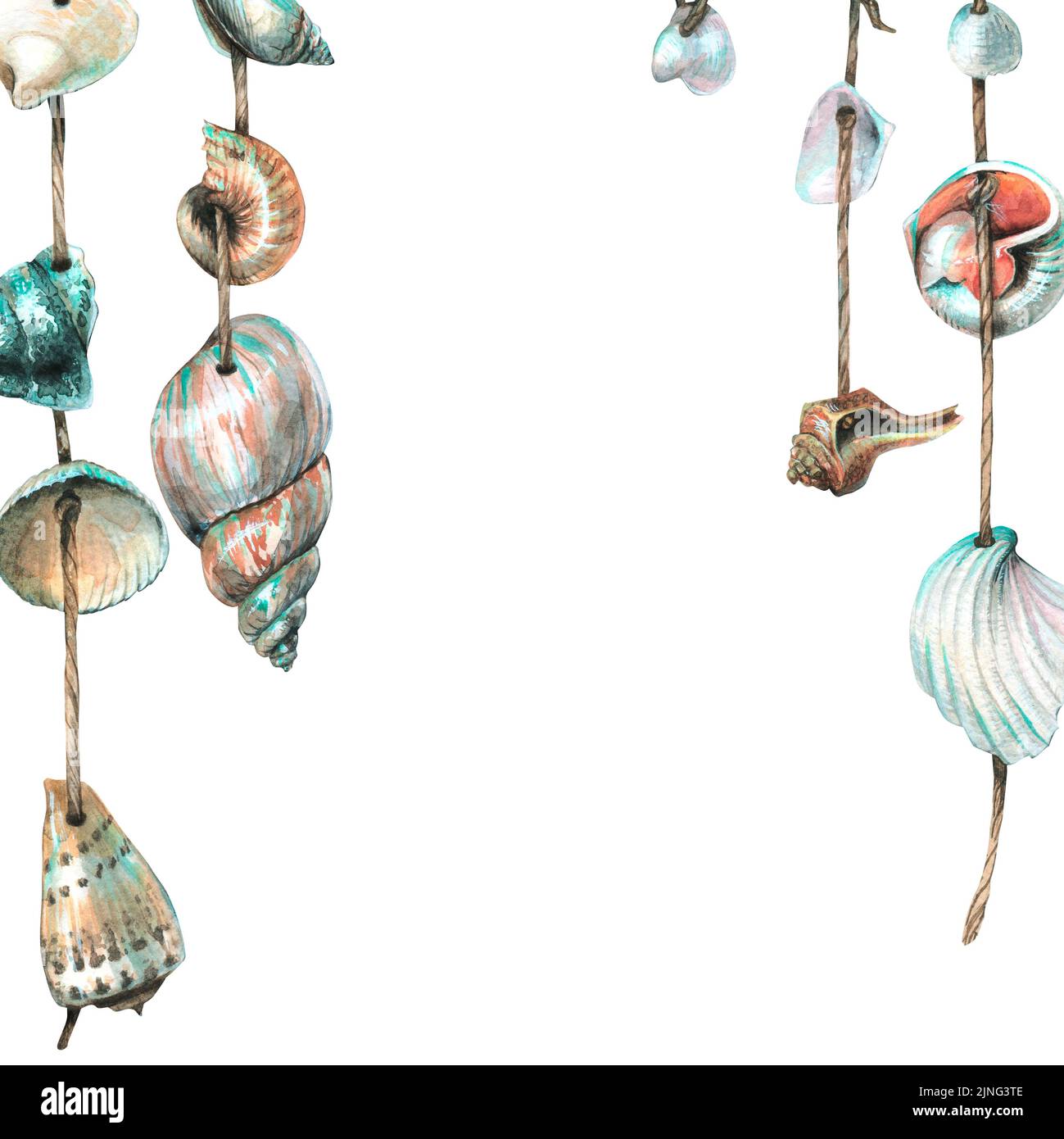 A frame with various shells hanging on ropes. Watercolor illustration ...