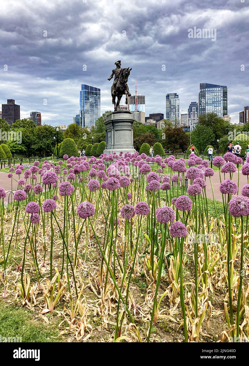 Boston Skyline and the George Washington Monument at Public Garden in Boston, Massachusetts Stock Photo