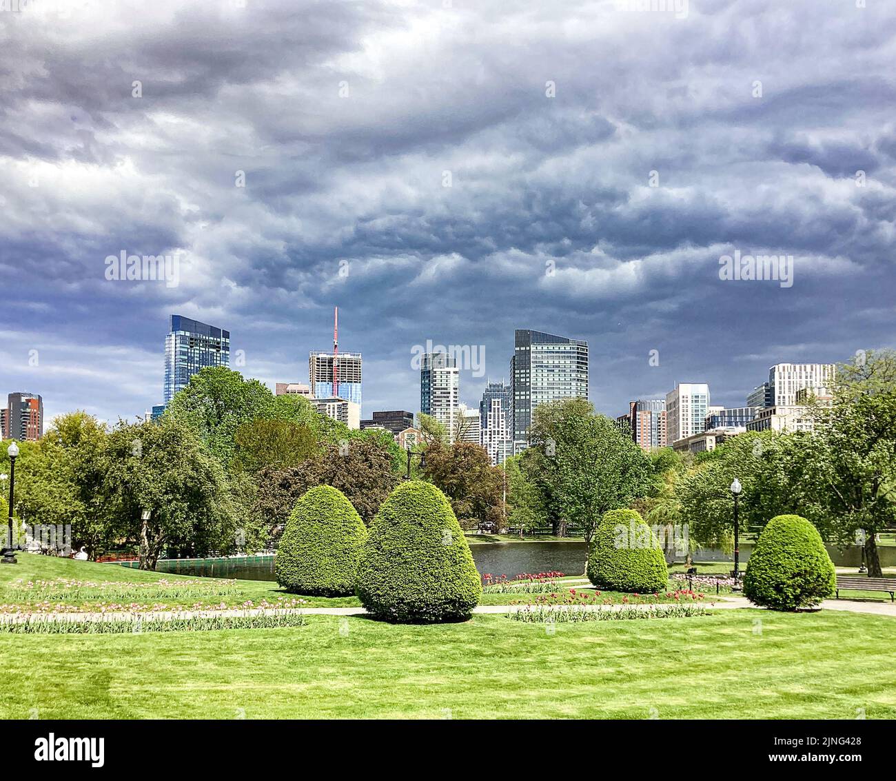 Boston Skyline at Public Garden in Boston, Massachusetts Stock Photo