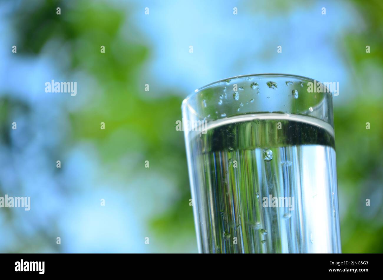 Drink water pouring in to glass outdoor over sunlight and natural green background on white
