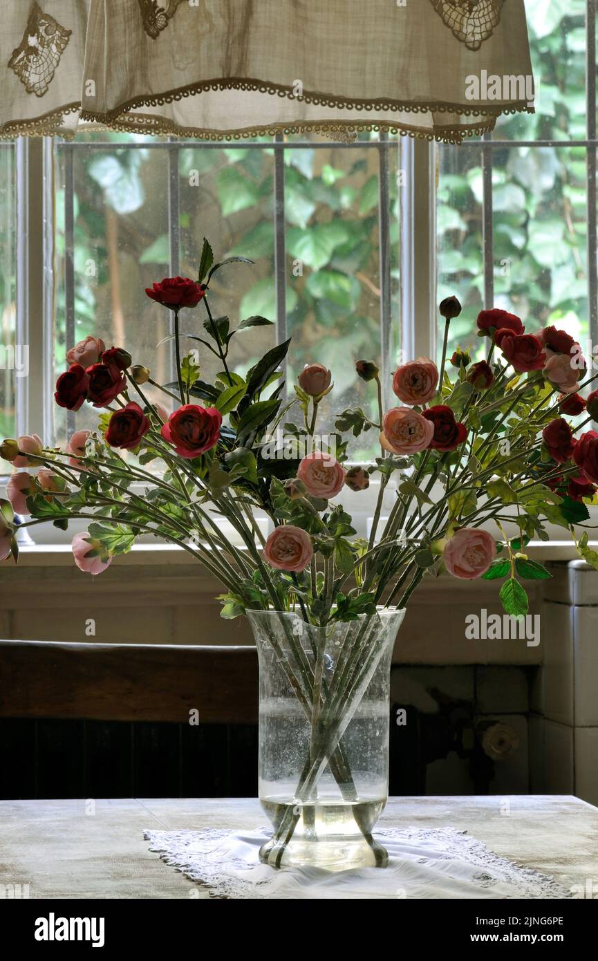 Flowers at home. Pink and red buttercups in the kitchen. Stock Photo