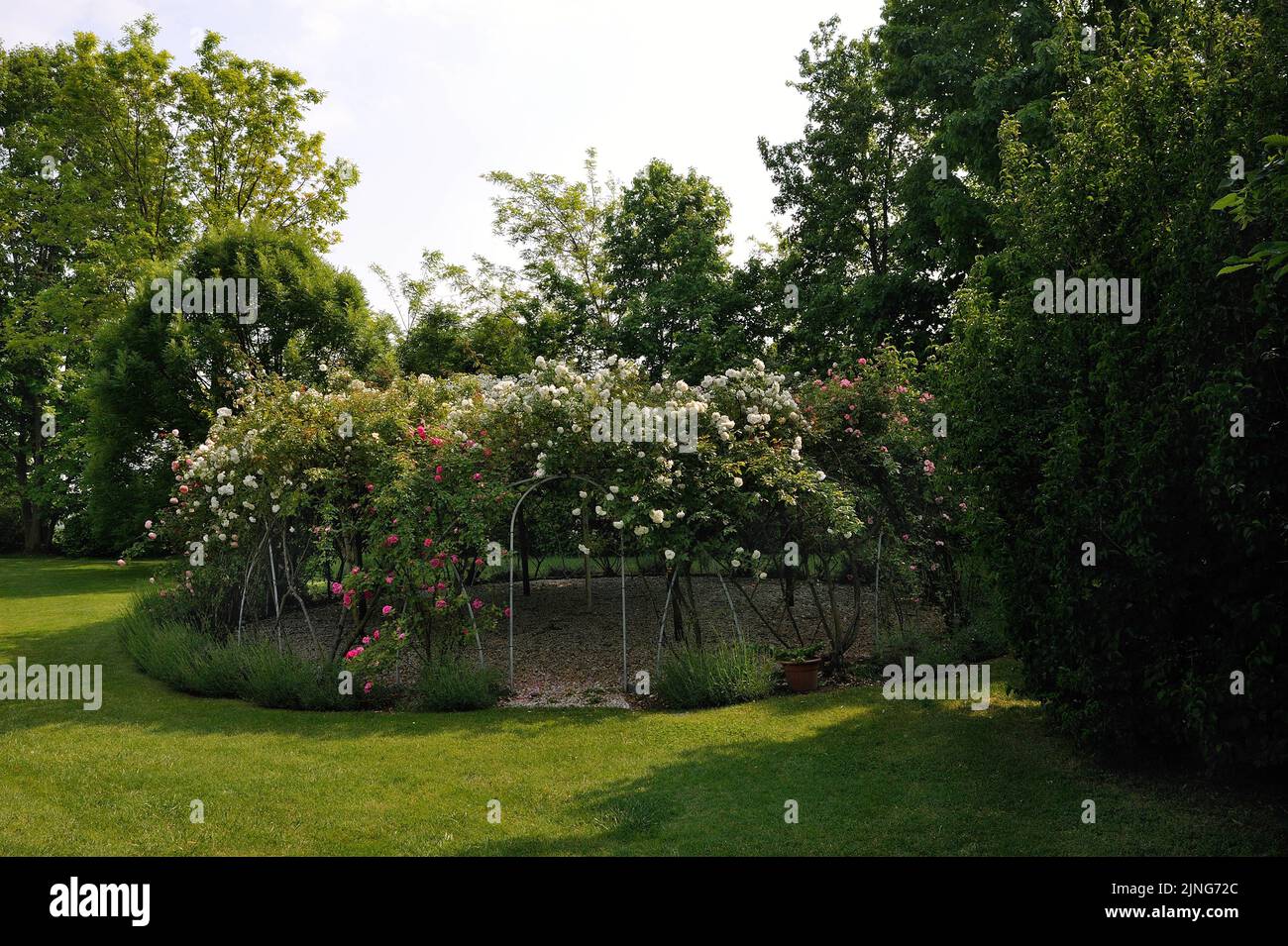 Rose garden gazebo hi-res stock photography and images - Alamy