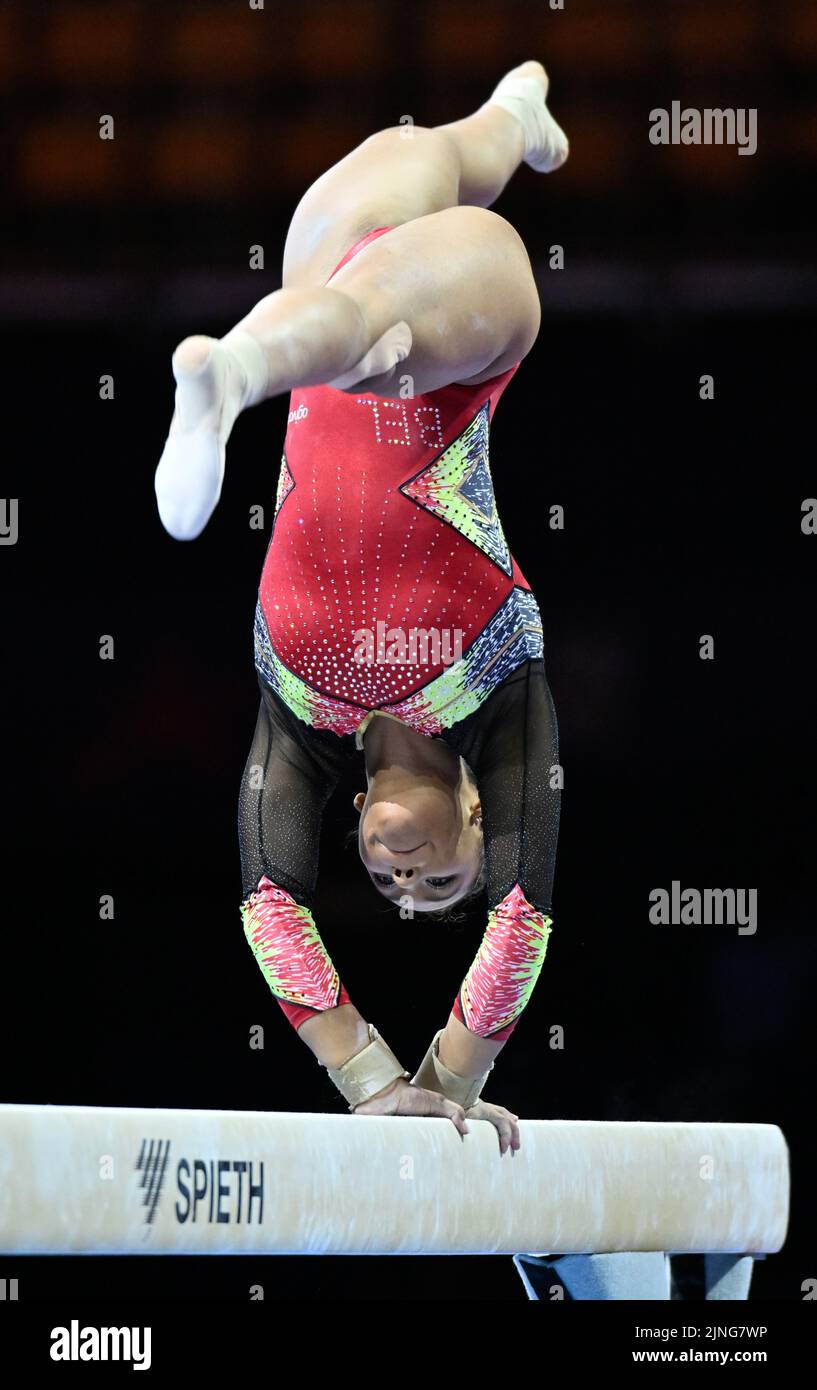 Poutre en gymnastique artistique gymnastique fille vector illustration  Photo Stock - Alamy