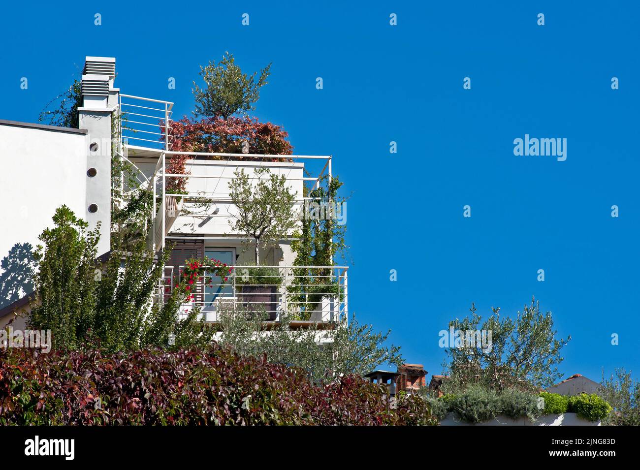 Bio-sustainable architecture, multi-level apartment with terraces. Stock Photo