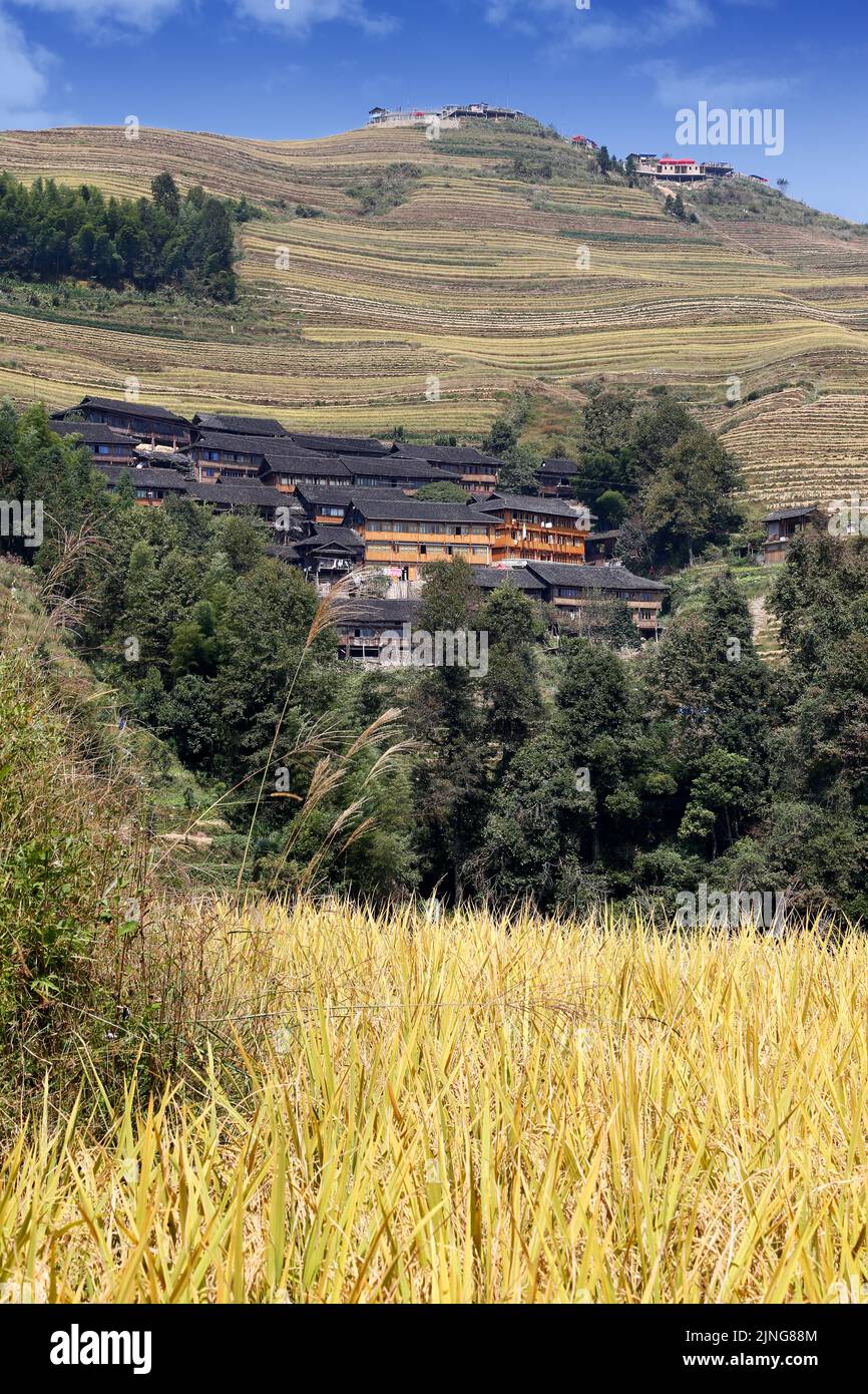 Rice terraced fields and village houses in Wengjia longji, Longsheng, Guanxi, China Stock Photo