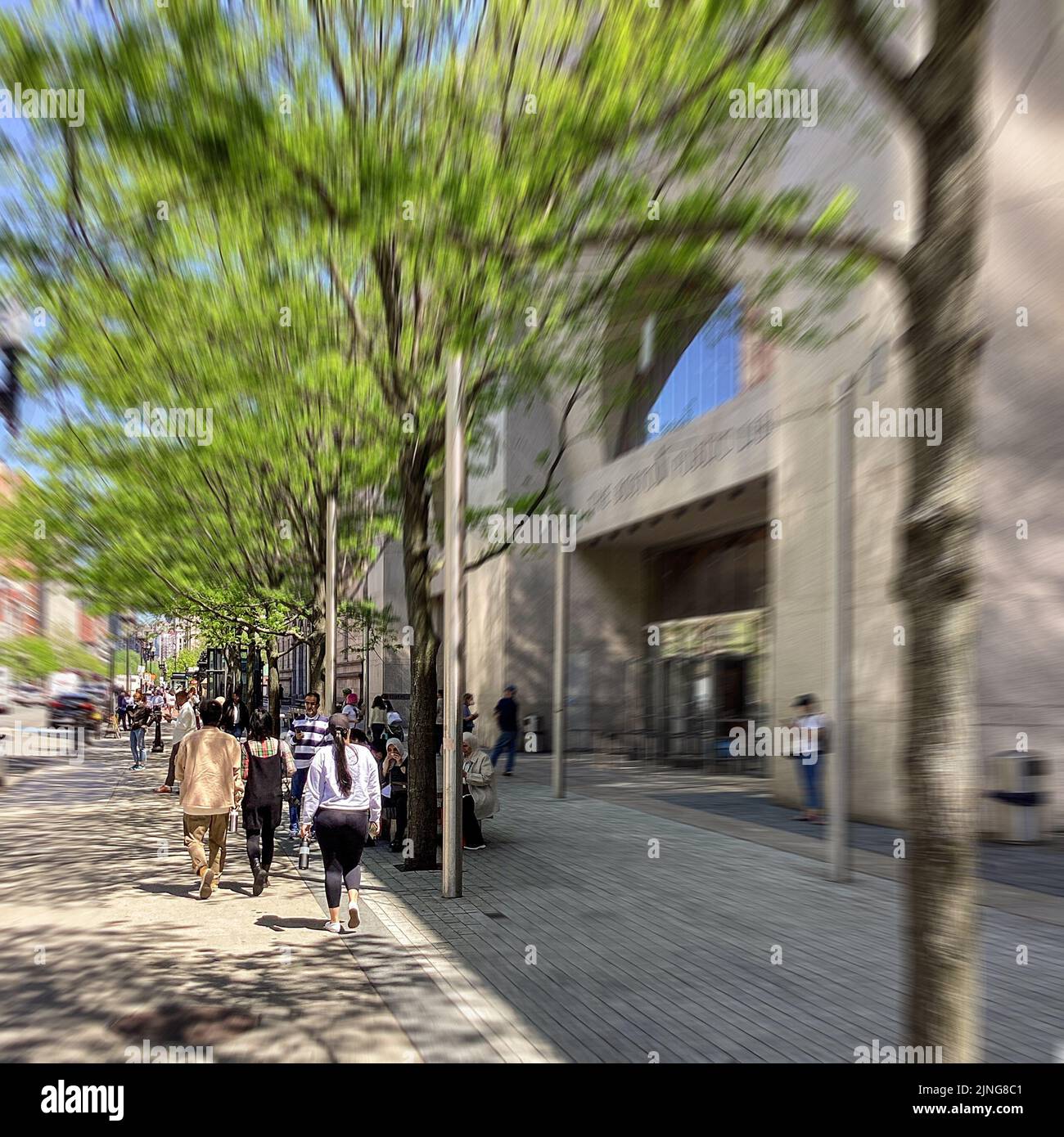 The Boston Public Library, Boylston Street Exterior Entrance, Boston ...