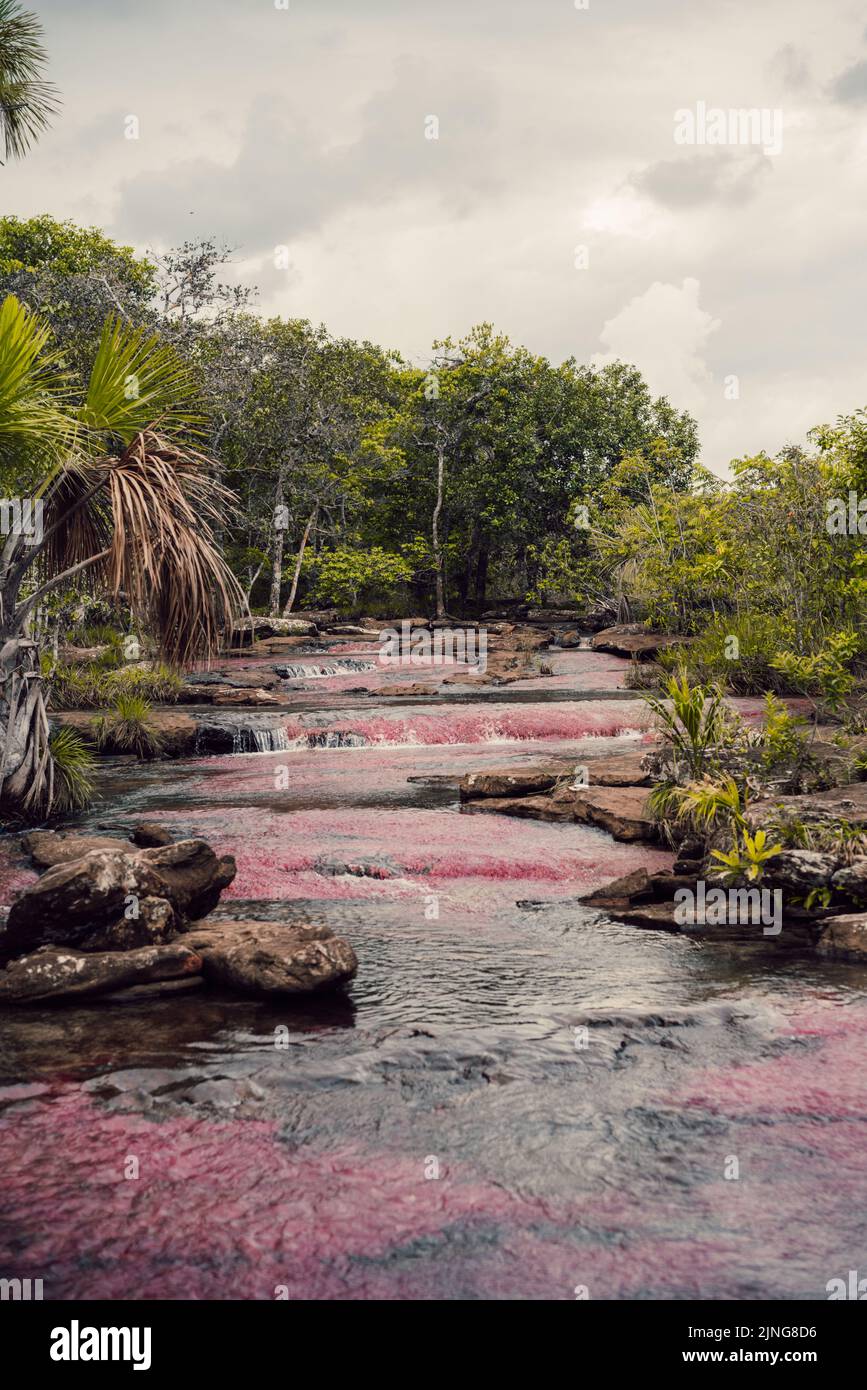 A scenic view of Cano Cristales (Colombian river) on a gloomy day, Colombia Stock Photo