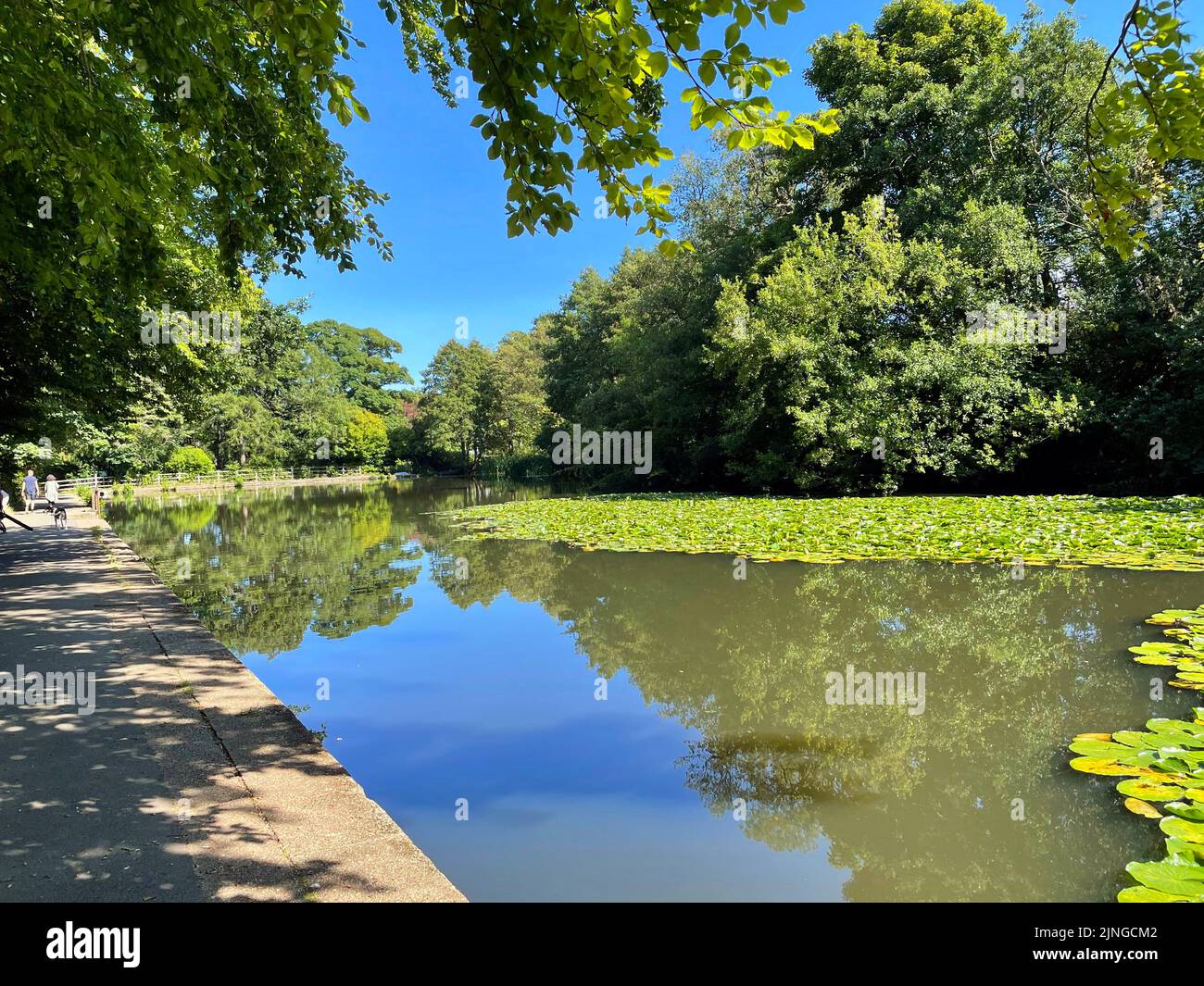 Wire Mill Dam is a Dam near Whiteley Wood and Bingham Park, Sheffield