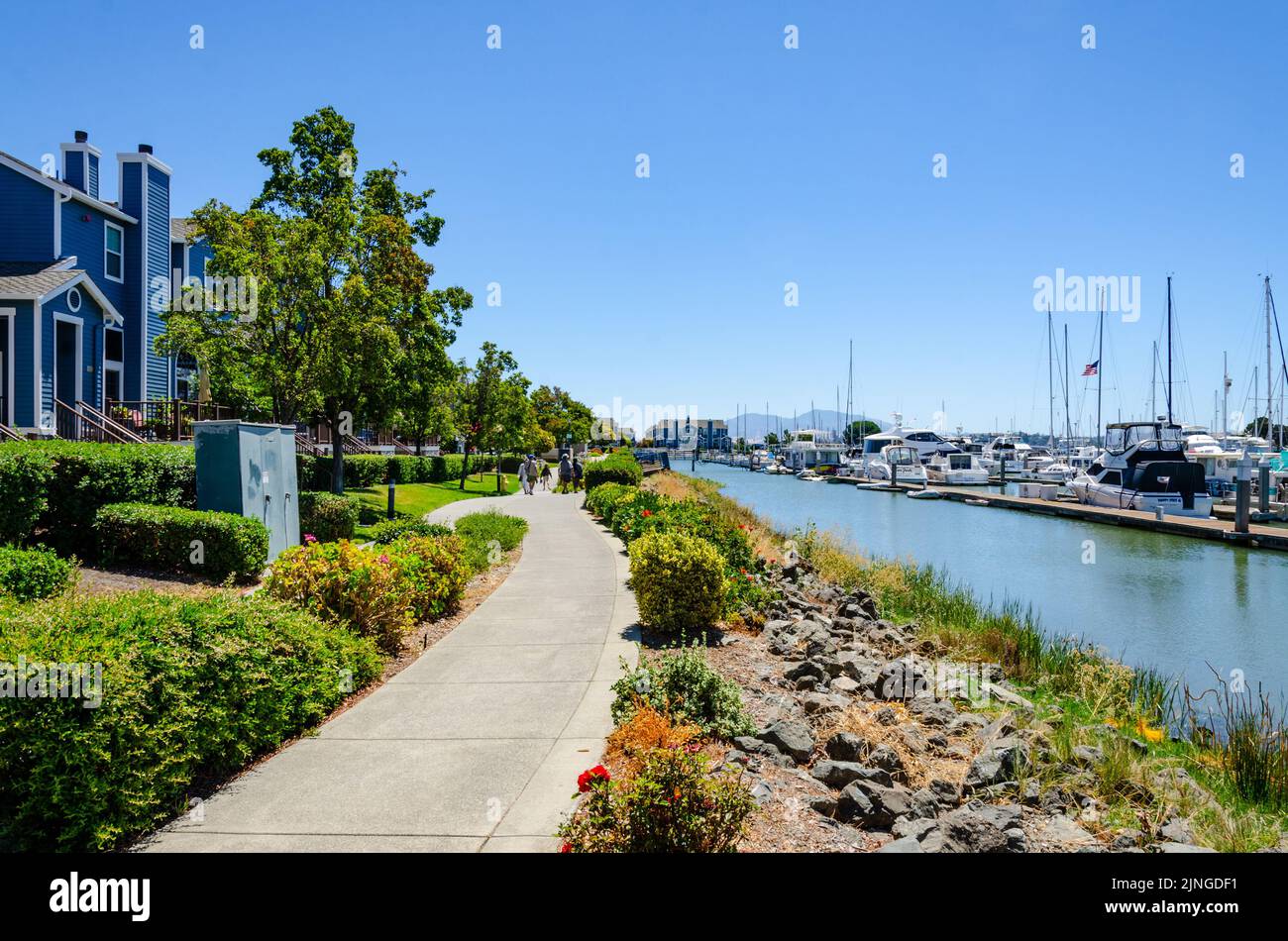 Footpath around the edge of Benicia Marina in California, USA past colourful blue houses and planting. Stock Photo