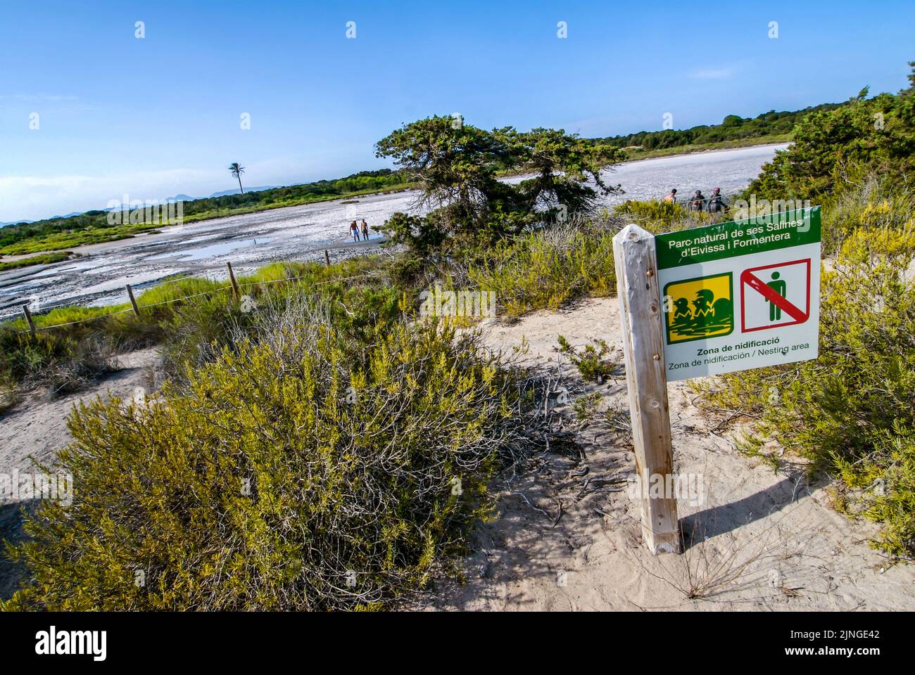 People enjoy a mud bath in Espalmador, a small island located in the