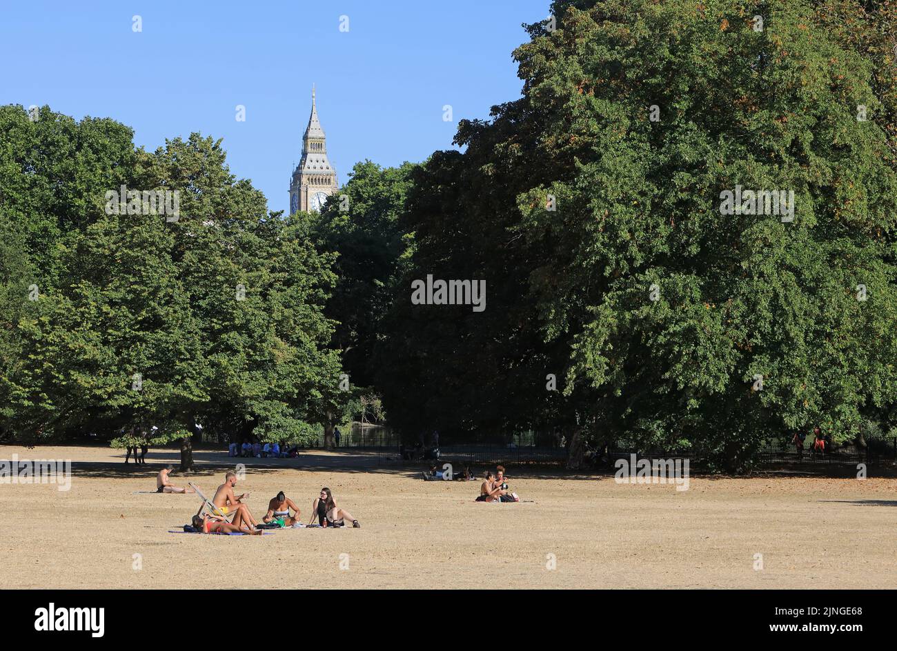 11th August 2022. Tinder-dry conditions and early autumnal leaf fall in St James Park, London. Amidst an amber heat warning, supermarkets limited sales of disposable barbecues, to reduce the  risk of fires. Credit : Monica Wells/Alamy Live News Stock Photo