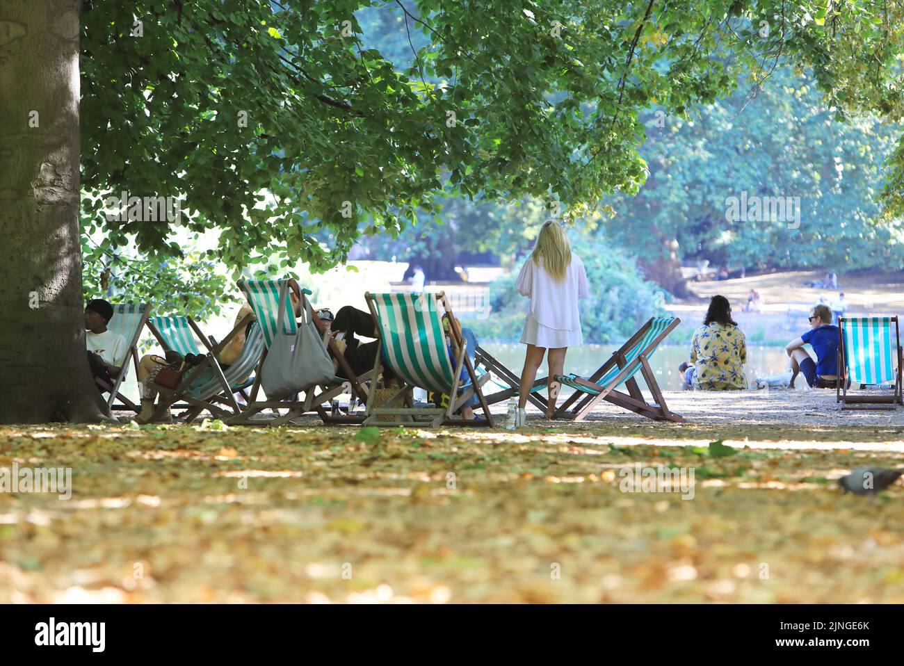 11th August 2022. Tinder-dry conditions and early autumnal leaf fall in St James Park, London. Amidst an amber heat warning, supermarkets limited sales of disposable barbecues, to reduce the  risk of fires. Credit : Monica Wells/Alamy Live News Stock Photo