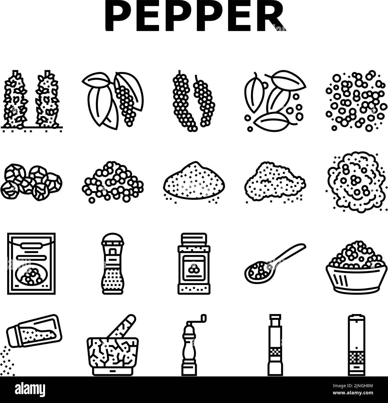 Black Pepper Aromatic Hot Spice Icons Set Vector Stock Vector Image