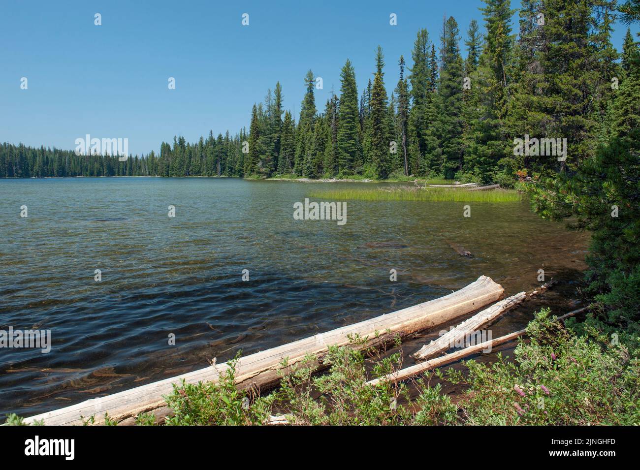Deer Lake, near the two Cultus Lakes in the Deschutes National Forest, Oregon Stock Photo