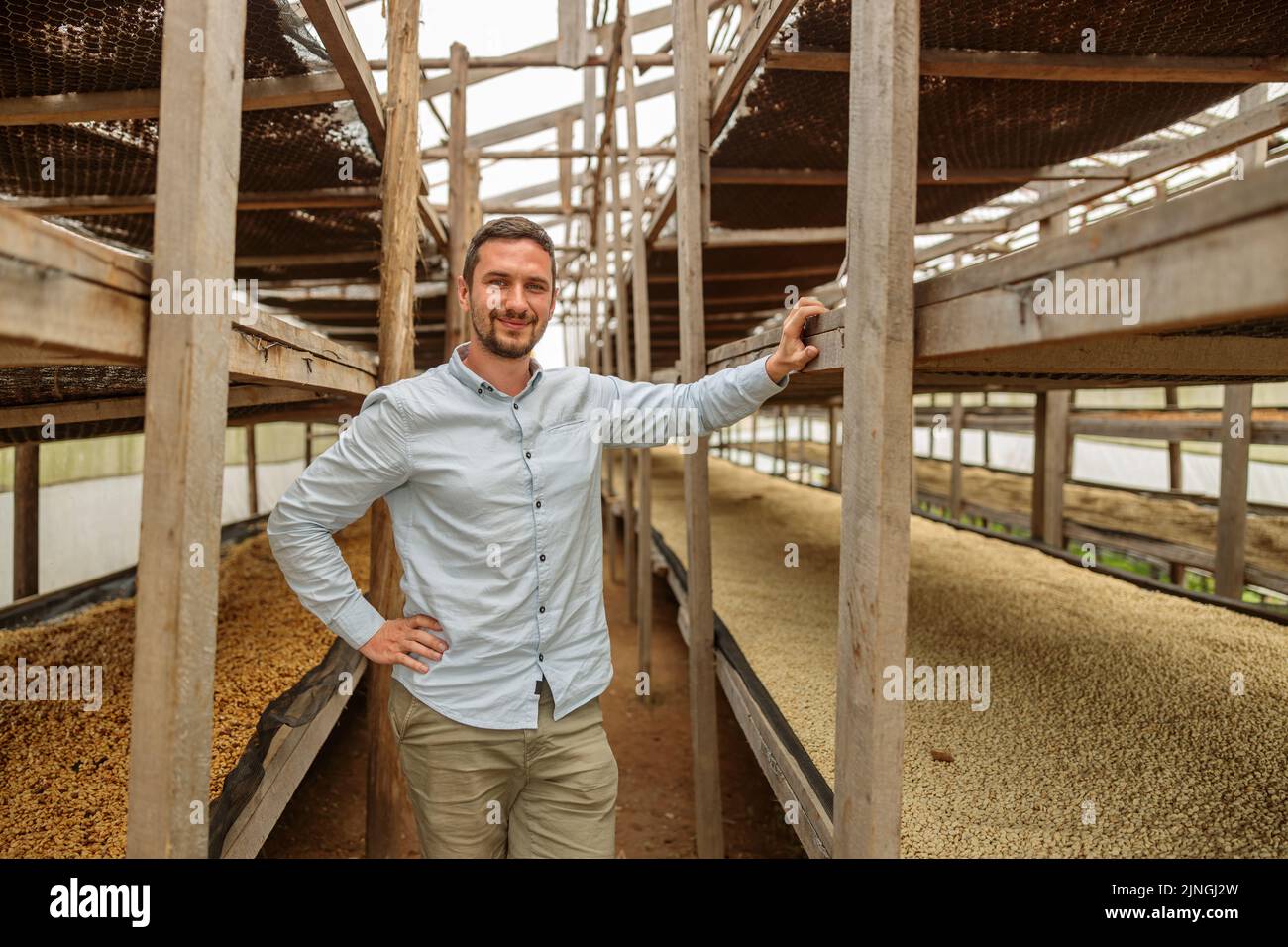 Smiling manager posing between tall wooden racks on coffee farm Stock ...