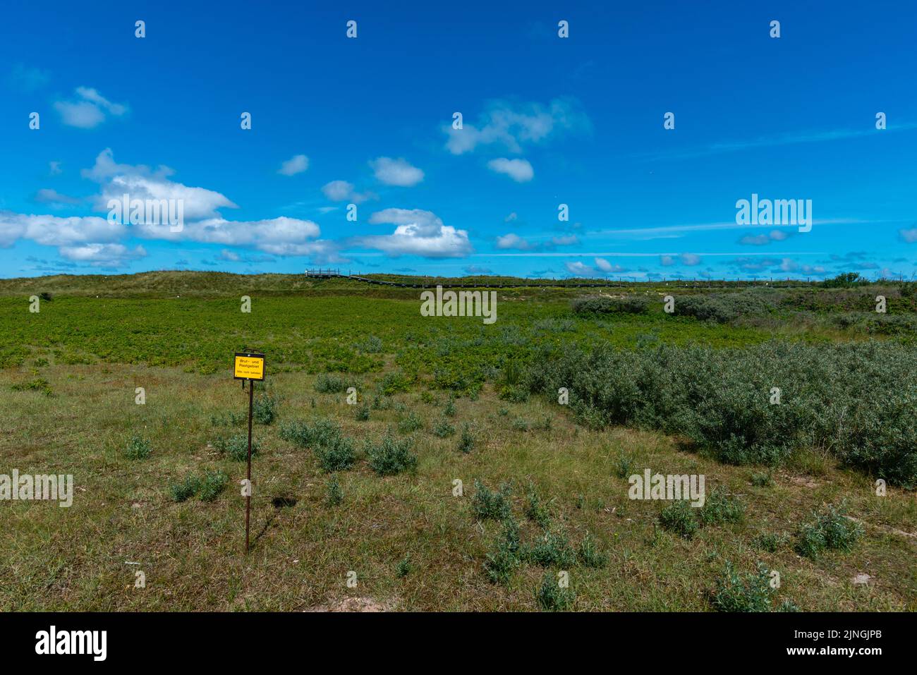 Breeding ground of sea gulls, no entry, hgh seas island The Dune, part