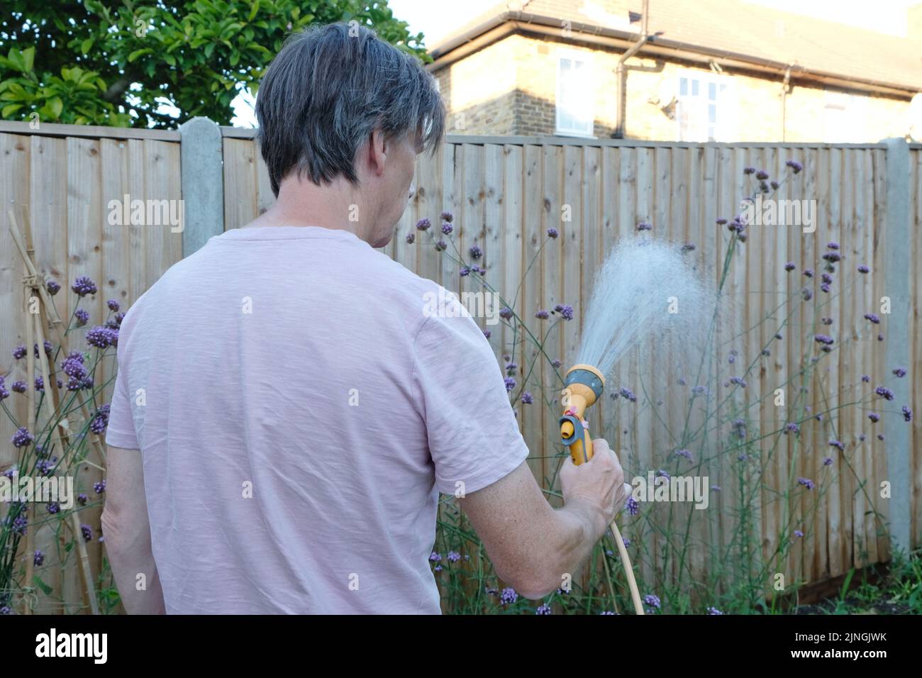 London, UK, 11th August, 2022.  A man uses a hosepipe to water flowerbeds on a summer's evening as a drought is likely to be declared by the Environmental Agency (EA) on Friday after a lack of rainfall and a long-term forecast of dry weather.  Water companies can decide individually to implement restrictions and Thames Water announced a hosepipe ban 'in the coming weeks' for non-essential uses such as filling a paddling pool, washing cars and watering gardens. Credit: Eleventh Hour Photography/Alamy Live News Stock Photo