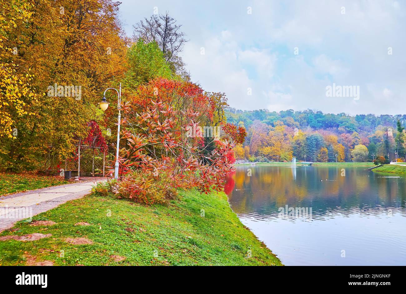 The bank of Palladin pond with a view on colored lindens, sumac trees, oaks and green lawn of Feofania park, Kyiv, Ukraine Stock Photo