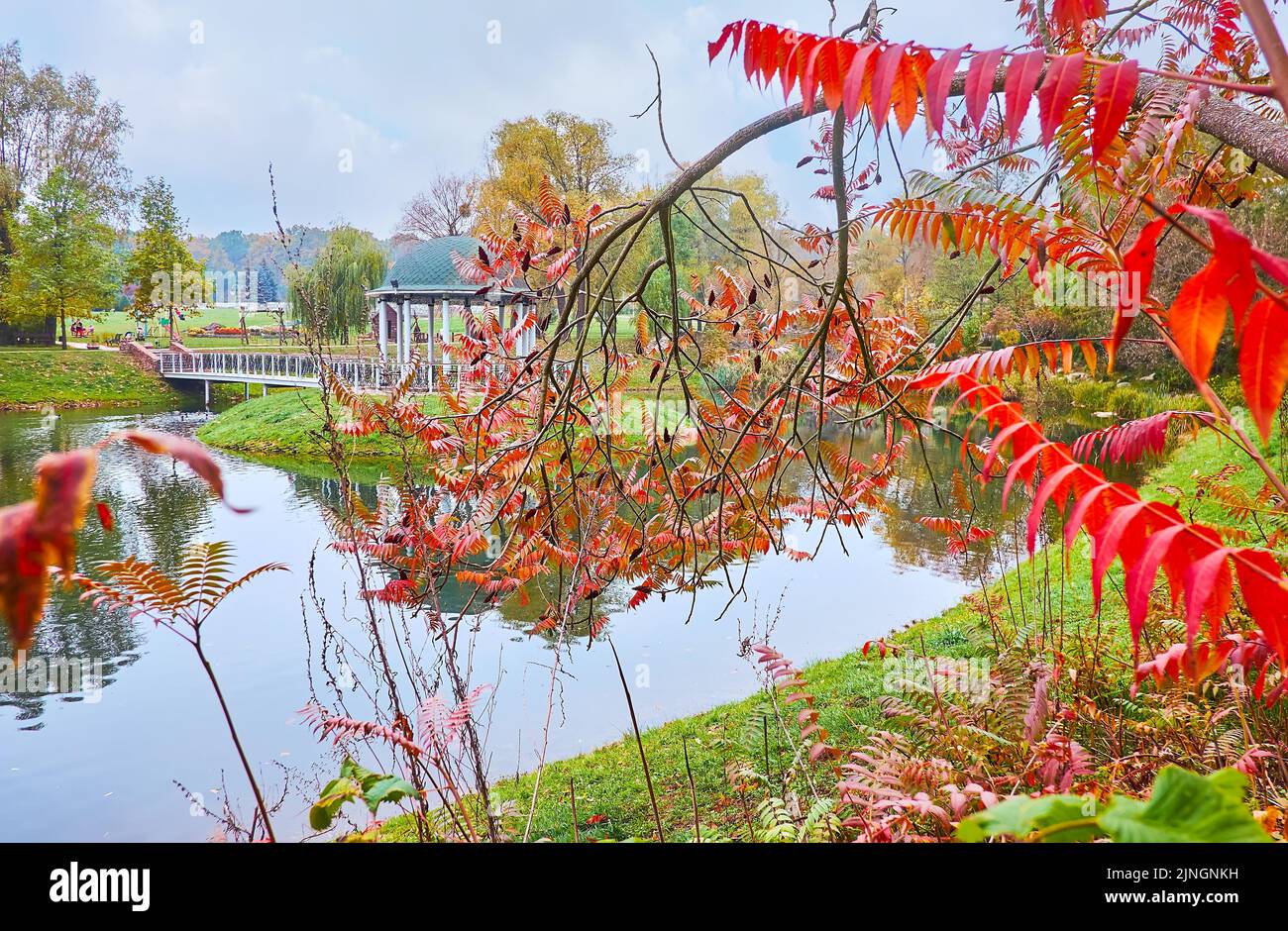 Palladin pond with a small gazebo and a footbridge through the staghorn sumac branches with bright red foliage, Feofania park, Kyiv, Ukraine Stock Photo