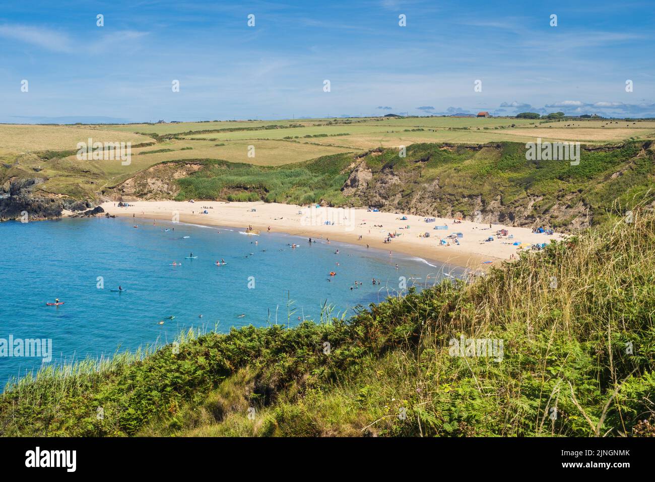 Whistling Sands is a crescent-shaped sandy beach backed by grassy cliffs located at Porth Oer on the Llyn Peninsula. Stock Photo