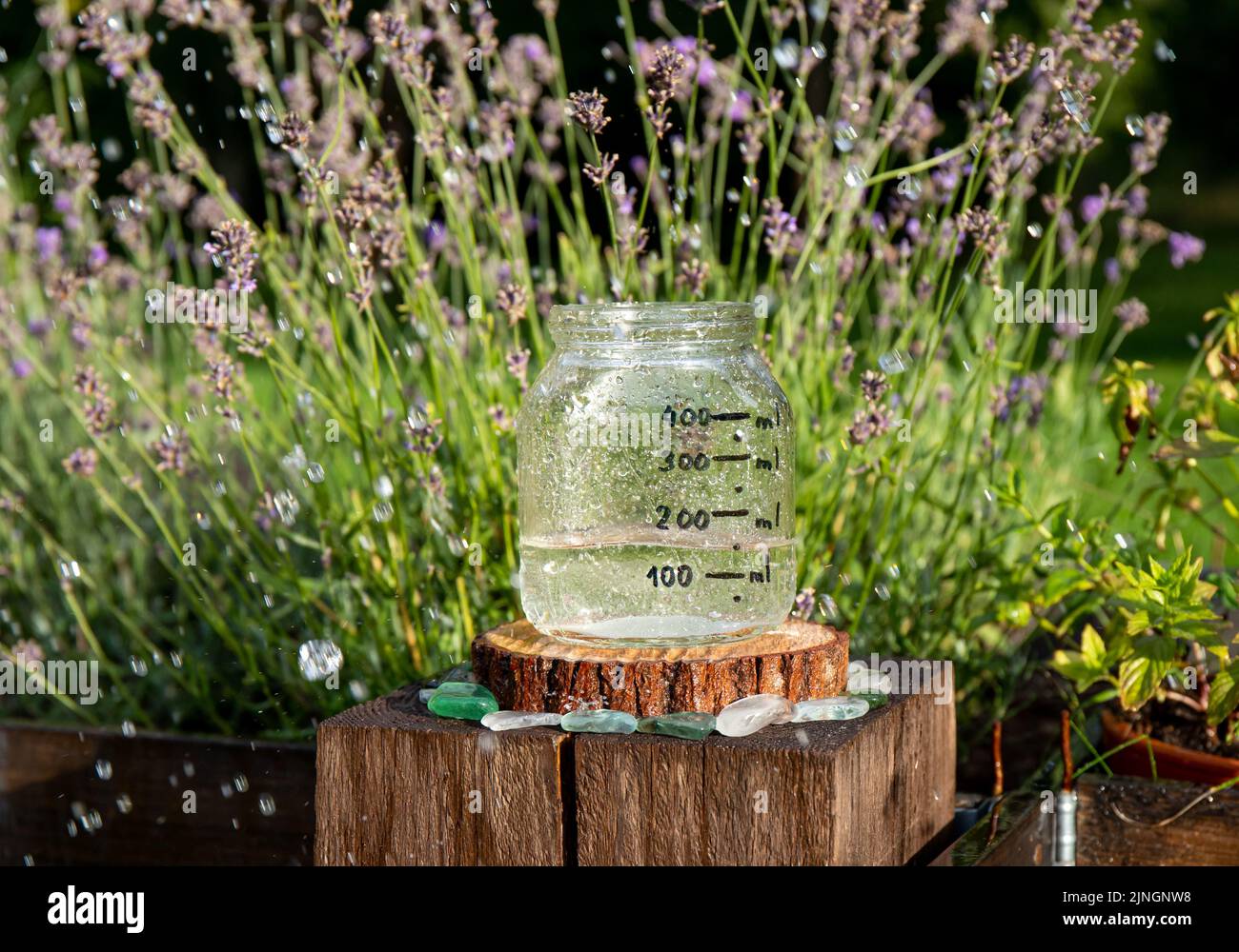 Handmade rain water gauge made of glass jar, measuring rain in home garden. Raining outdoors in garden. Also known as udometer, pluvia metior. Stock Photo